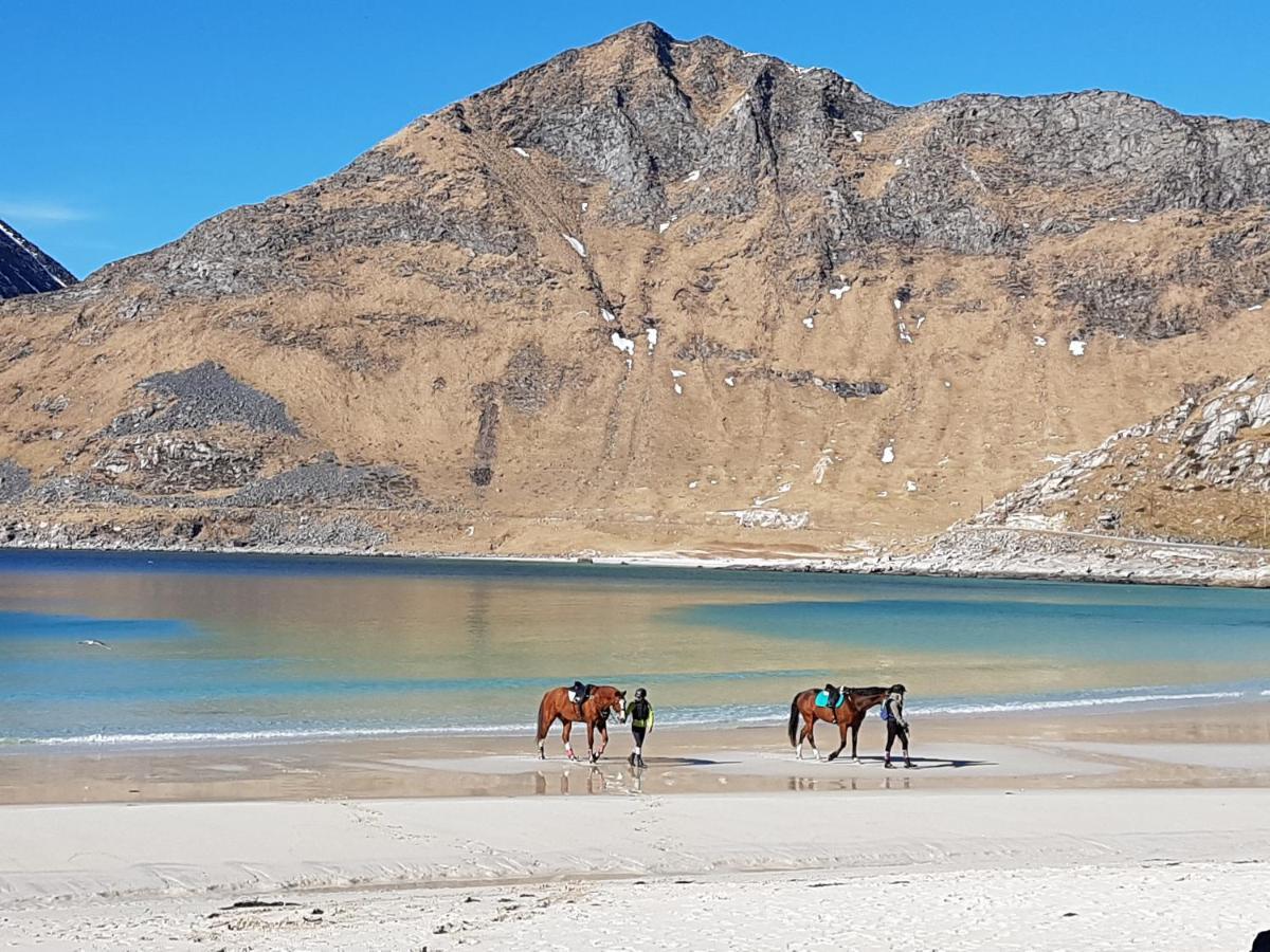Vila Knut Ellingsen Reine Exteriér fotografie
