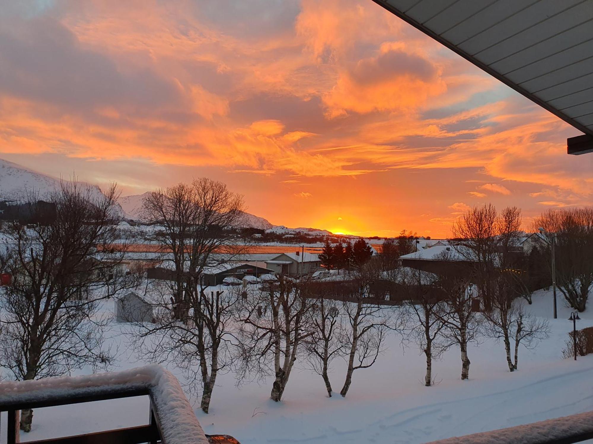 Vila Knut Ellingsen Reine Exteriér fotografie